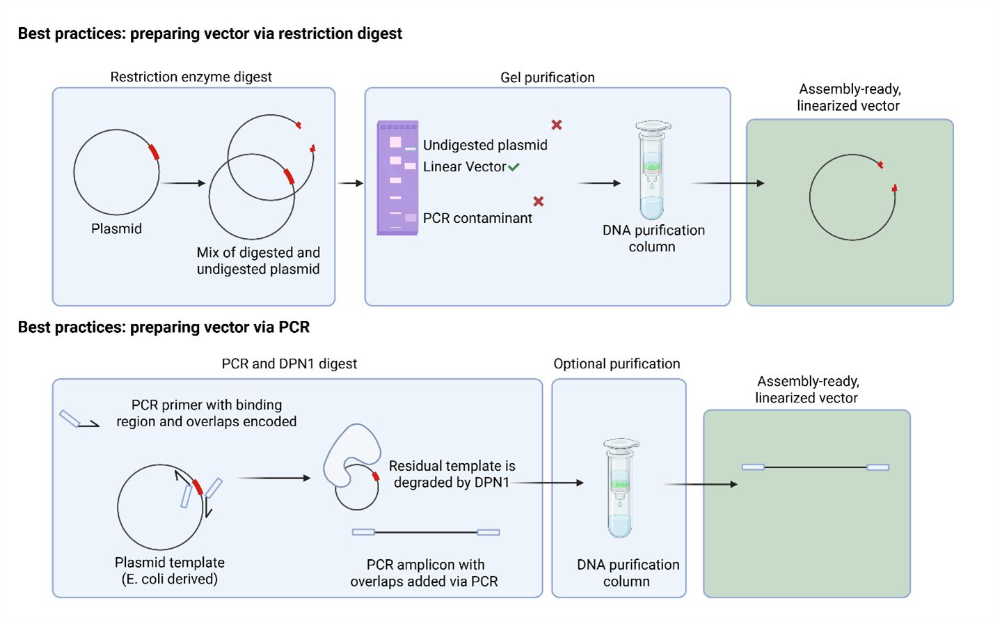 Figure 3: Vector Preparation Workflows