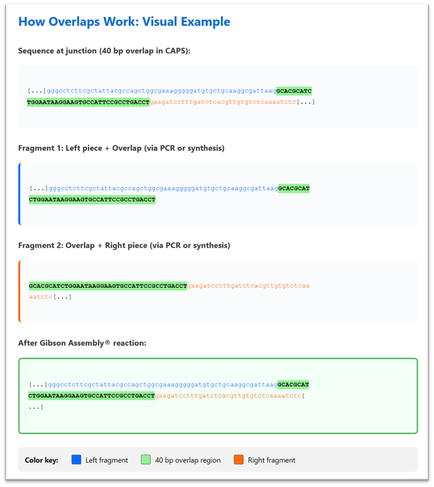 Figure 4: Overlap visual example